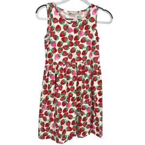 H&M Strawberry Twirl Tank Skater Dress-Size 6X-7